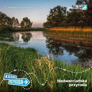 Nadwarciański Park Krajobrazowy