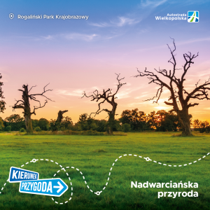Rogaliński Park Krajobrazowy